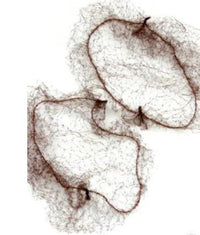 Beter Invisible Hair Nets Brown Blond 2 units