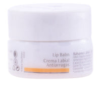Dr Hauschka Crème Anti-Rides Pour Les Lèvres 4.5 ml