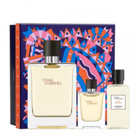 Hermès Terre d'Hermès Eau De Toilette Vaporisateur 100ml Christmas Set 2022