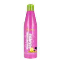 Salerm Cosmetics Straightening Shampooing 250ml