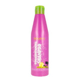 Salerm Cosmetics Straightening Shampooing 250ml