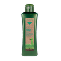 Salerm Cosmetics Biokera Natura Oily Hair Shampoo 300ml